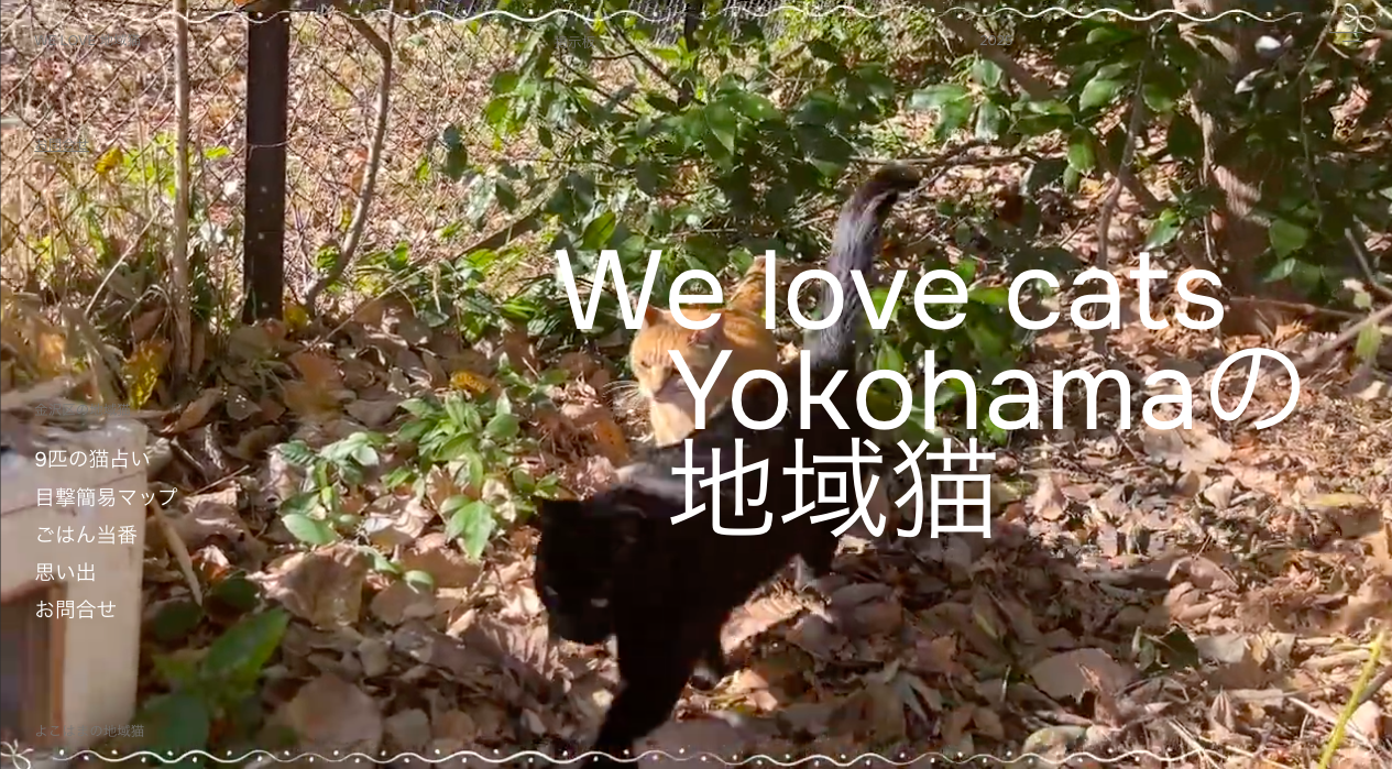 横浜の地域猫